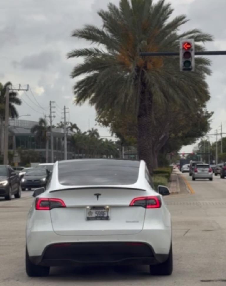 Ilya Bezrukikh's Tesla